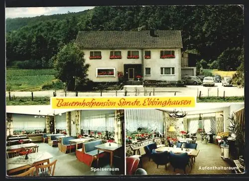 AK Ebbinghausen / Lichtenau, Bauernhofpension - Gasthaus Sprute