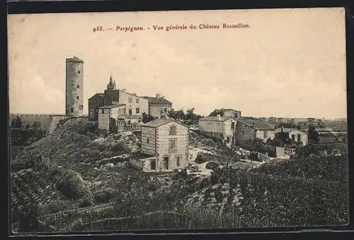 AK Perpignan, Vue générale du Château Roussillon