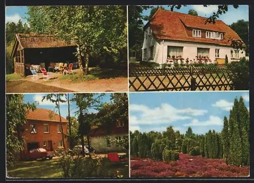 AK Behringen / Bispingen, Pension zur Höhe mit Terrasse und Garten