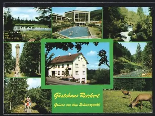 AK Wildbad-Aichelberg, Gästehaus Reichert, grasende Hirsche, Schwimmbad, Turm
