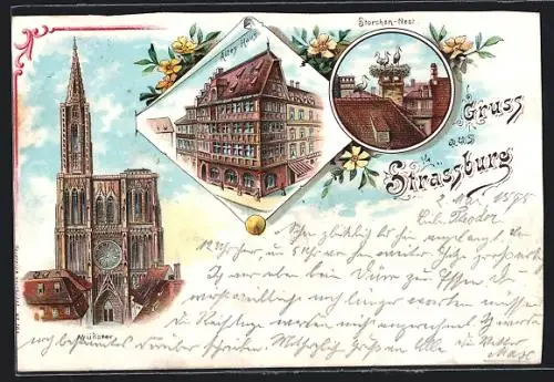 Lithographie Strassburg, Münster, Altes Haus, Storchen-Nest