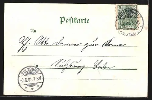 Lithographie Strassburg, Kehler Brücke, Elsässerin, Storchennest