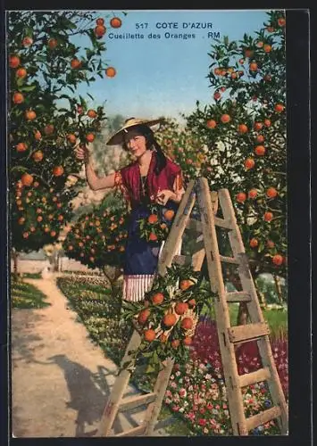 AK Frau im Orangengarten bei der Ernte, Landwirtschaft