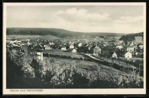 AK Immendingen, Gesamtansicht aus der Vogelschau