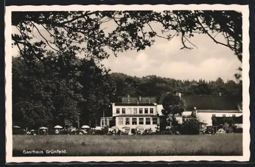 AK Waldenburg / Sachsen, Gasthaus Grünfeld