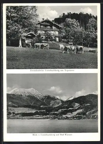 AK Tegernsee, Hote-Cafe Unterbuchberg v. Georg Fischbacher, Blick auf Bad Wiessee