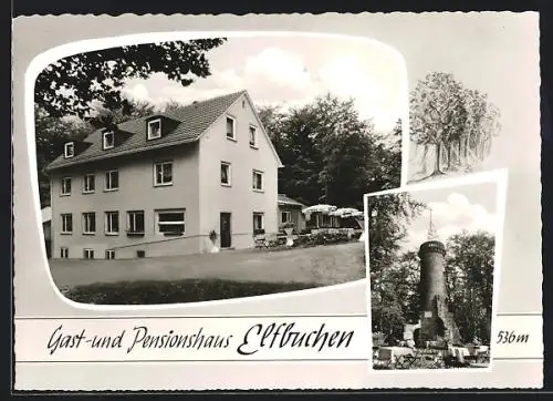 AK Kassel, Gast- & Pensionshaus Elfbuchen, Herkules