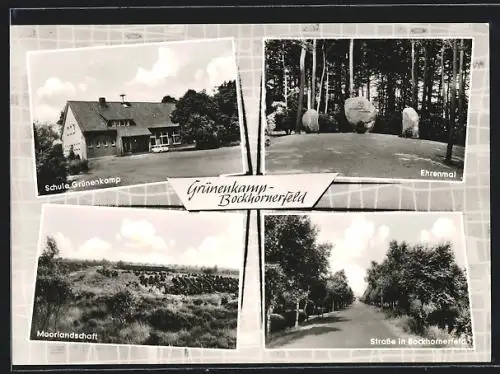 AK Grünenkamp, Schule, Moorlandschaft, Strassenpartie in Bockhornerfeld