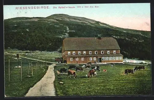 AK Spindlerbaude im Riesengebirge