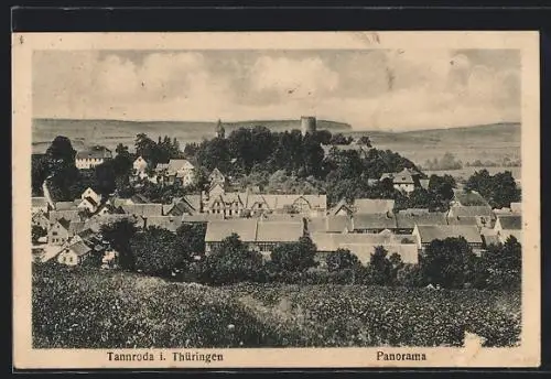 AK Tannroda i. Thüringen, Panoramablick über die Stadt