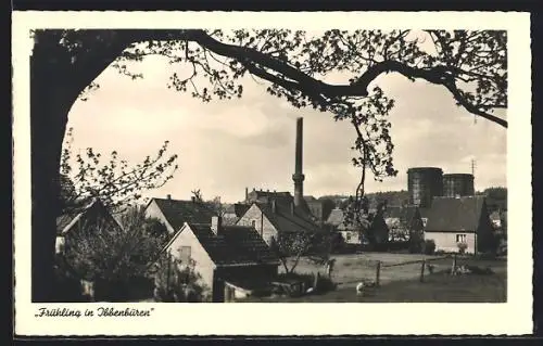 AK Ibbenbüren, Industriegelände hinter blühendem Baum