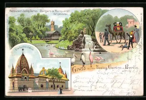 Lithographie Berlin-Charlottenburg, Zoologischer Garten, Neptuns-Teich, Kamel-Reiten und Elefantenhaus