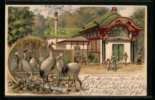 Lithographie Berlin, Zoologischer Garten, Stelzvogelhaus, Kraniche