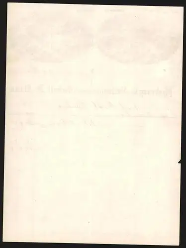 Rechnung Pfullingen 1887, Heilanstalt von Hofrath Dr. Flamm, Zwei Ansichten des Geländes der Heilanstalt
