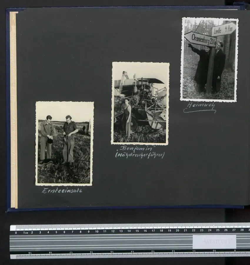 Fotoalbum mit 80 Fotografien, Ansicht Wandlitz, FDJ Jugendhochschule Wilhelm Pieck, 1958 10