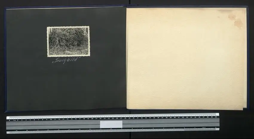 Fotoalbum mit 80 Fotografien, Ansicht Wandlitz, FDJ Jugendhochschule Wilhelm Pieck, 1958 20