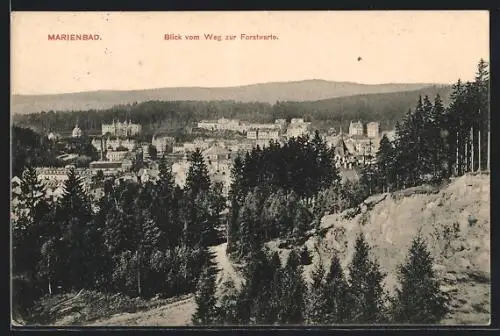 AK Marienbad, Blick vom Weg zur Forstwarte