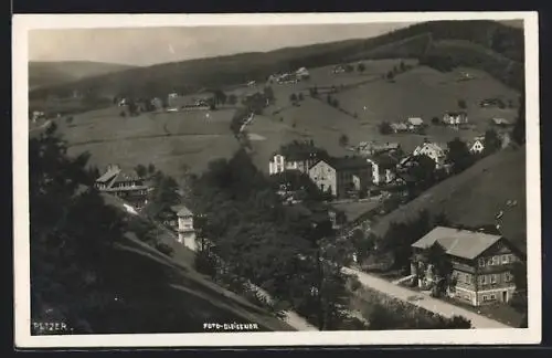 AK Petzer, Ortsansicht im Tallauf vom Hügel aus