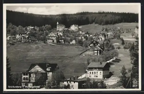 AK Brückenberg i. Riesengebirge, Ortsansicht vor einem Waldgebiet