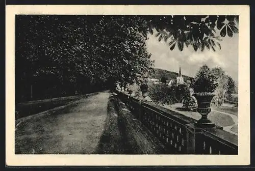 AK Lysice, Pohled ze zámeckých zahrad