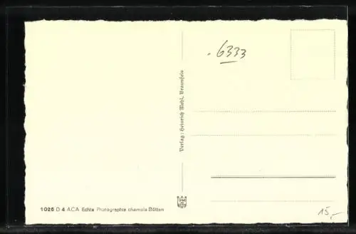 AK Braunfels, Torbogen, Strassenpartie