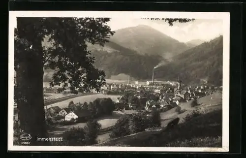 AK Immenstadt, Gesamtansicht aus der Vogelschau