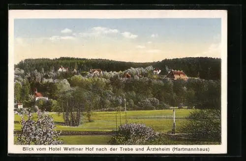 AK Bad Berka, Blick vom Hotel Wettiner Hof nach der Trebe und Ärzteheim Hartmannshaus