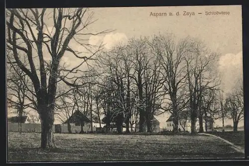 AK Asparn a. d. Zaya, Blick auf Schlosswiese