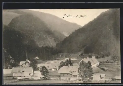 AK Neuberg an der Mürz, Frein, Ortsansicht im Bergidylll