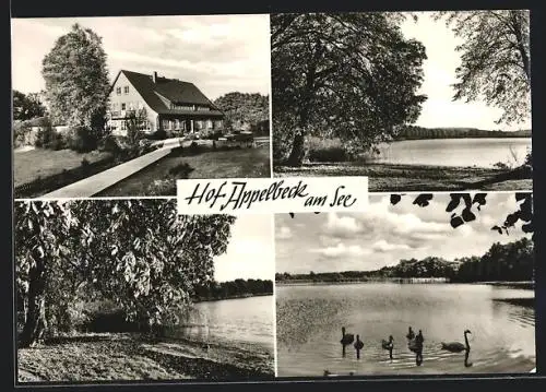 AK Hollenstedt / Nordheide, Gasthaus Hof Appelbeck am See