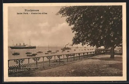 AK Blankenese, Baurs Park und Kastanien-Allee