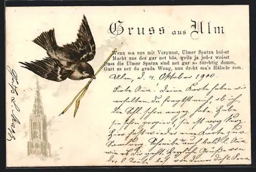 Lithographie Ulm / Donau, Fliegender Spatz mit einem Halm Stroh vor dem Münster