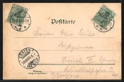 Lithographie Worms, Lutherdenkmal, Dom, Grossherzog-Denkmal, Flusspanorama