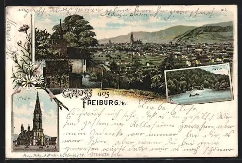 Lithographie Freiburg i. Br., Gesamtansicht, Waldsee, Blick auf den Münster