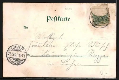 Lithographie Freiburg i. Br., Gesamtansicht, Waldsee, Blick auf den Münster