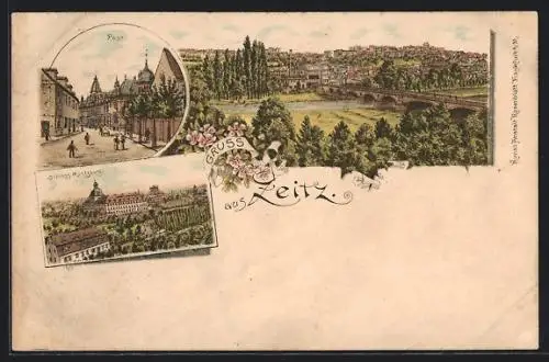 Lithographie Zeitz, Ortsansicht mit Brücke, Strassenpartie, Schloss Moritzburg