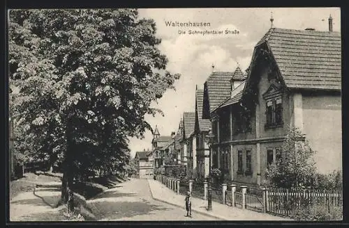 AK Waltershausen / Thür., Sicht in die Schnepfentaler Strasse