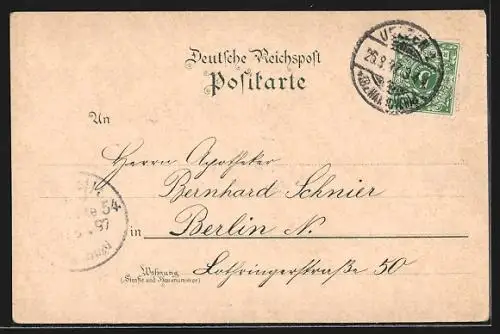 Lithographie Uelzen, Bahnhof, Rathaus & Kirche, Fischerhof, Kaiserl. Postamt