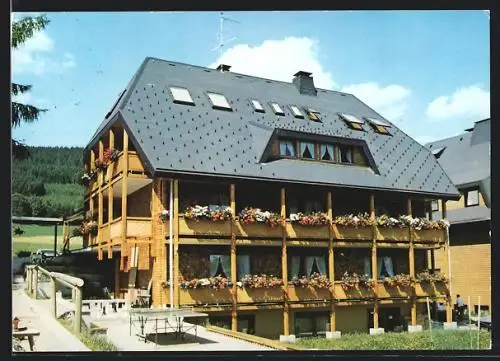 AK Titisee /Schwarzwald, Gasthaus und Pension Sonnenmatte