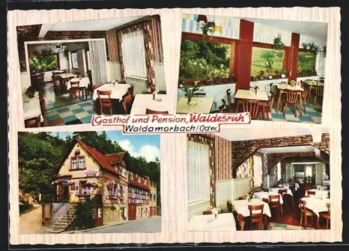 AK Wald-Amorbach /Odw., Gasthof und Pension Waldesruh