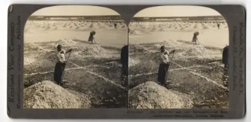 Stereo-Fotografie Keystone View Co., Meadville / PA, Salz Felder, ein Reservoir nach dem Abdampfen, Soline, Russland
