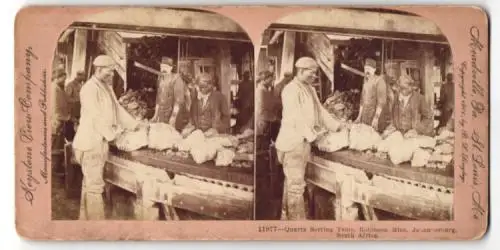 Stereo-Fotografie Keystone View Co., Meadville / PA, Quartz Sorting Table, Robinson Mine, Johannesburg, Bergbau