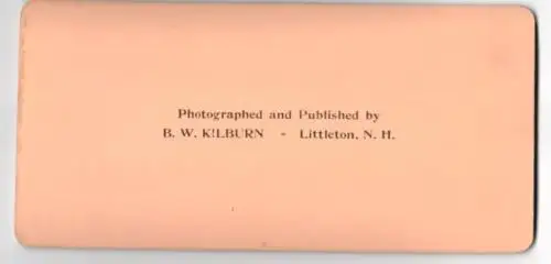 Stereo-Fotografie B. W. Kilburn, Littleton N.H., Exposition Paris 1900, Entrance to Mines and Mettalurgy Building