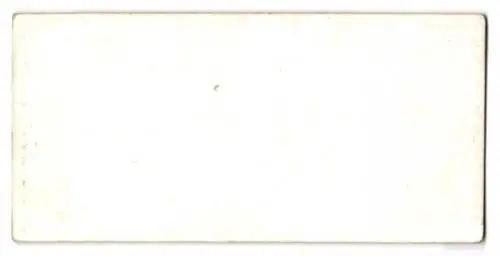 Stereo-Fotografie Francis Bedford, Ort unbekannt, Ansicht Bangor, suspension Bridge and Menai Straits from Anglesea