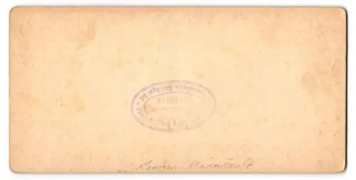 Stereo-Fotografie B. Johannes, München, Ansicht München, Marienplatz mit der Mariensäule