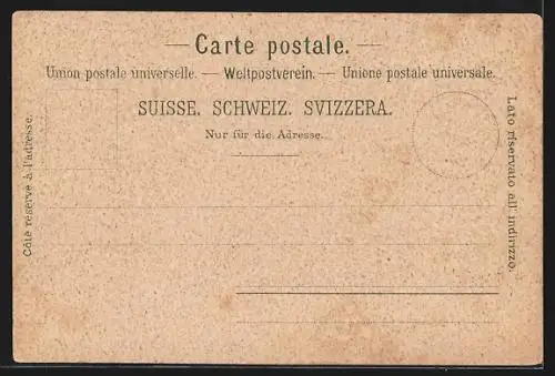Lithographie Rapperswil, Teilansicht vom Ort bei Nacht