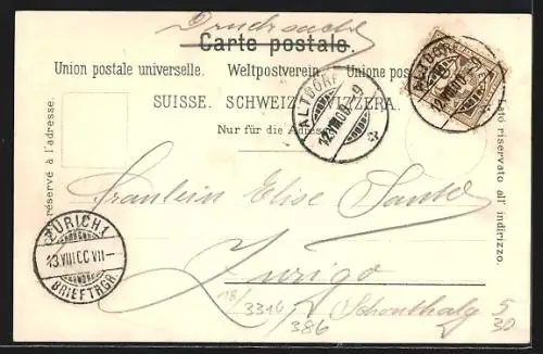 Lithographie Lugano, Teilansicht, Uferpartie, Frau erntet Wein