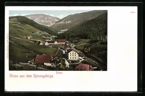AK Petzer /Riesengebirge, Panorama