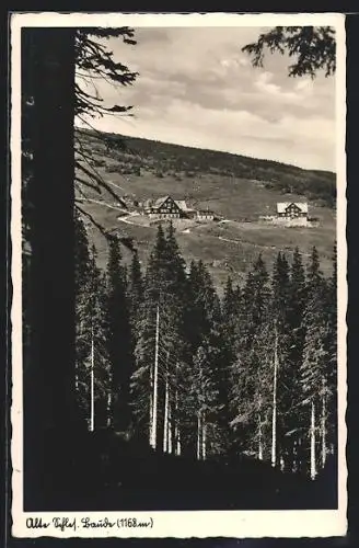 AK Alte Schlesische Baude im Riesengebirge, Blick vom Wald aus