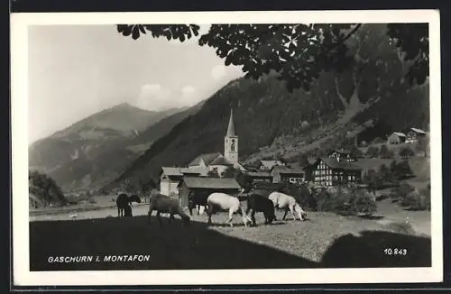 AK Gaschurn i. Montafon, Ortspartie mit Kirche und Schafen